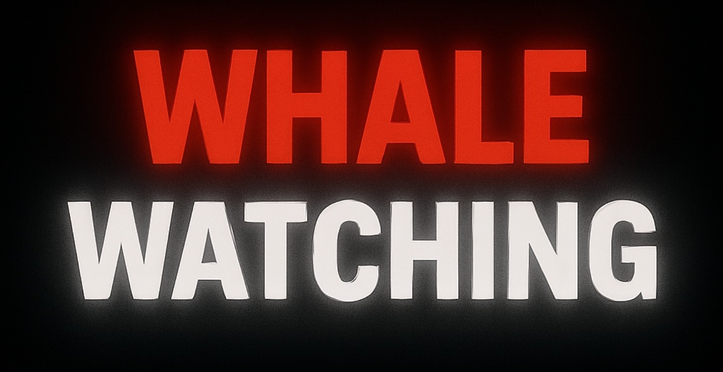 6/ Build Your Whale Watcher System—and Win Big