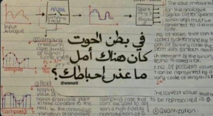 فهد الرشيدي
