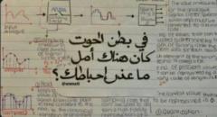فهد الرشيدي