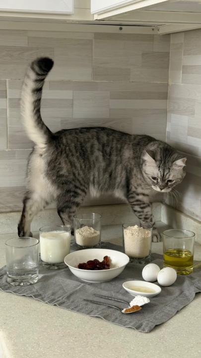 بسام البندقي