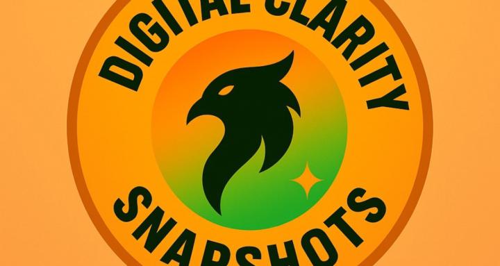 The Digital Clarity Snapshots