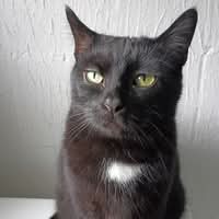Mandy Barnes