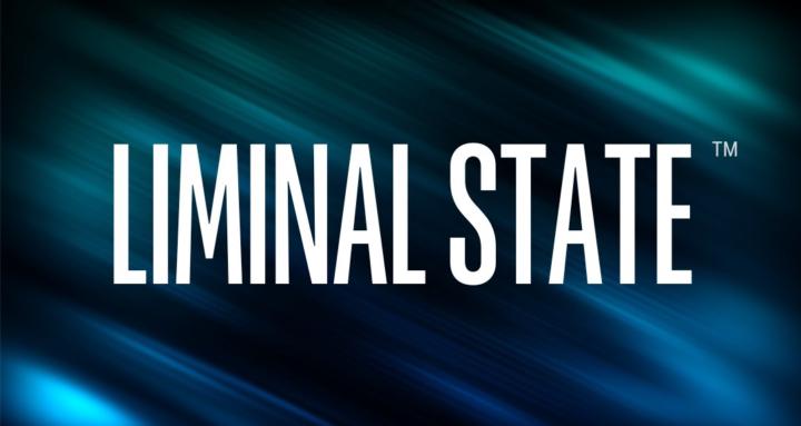 The Liminal State™