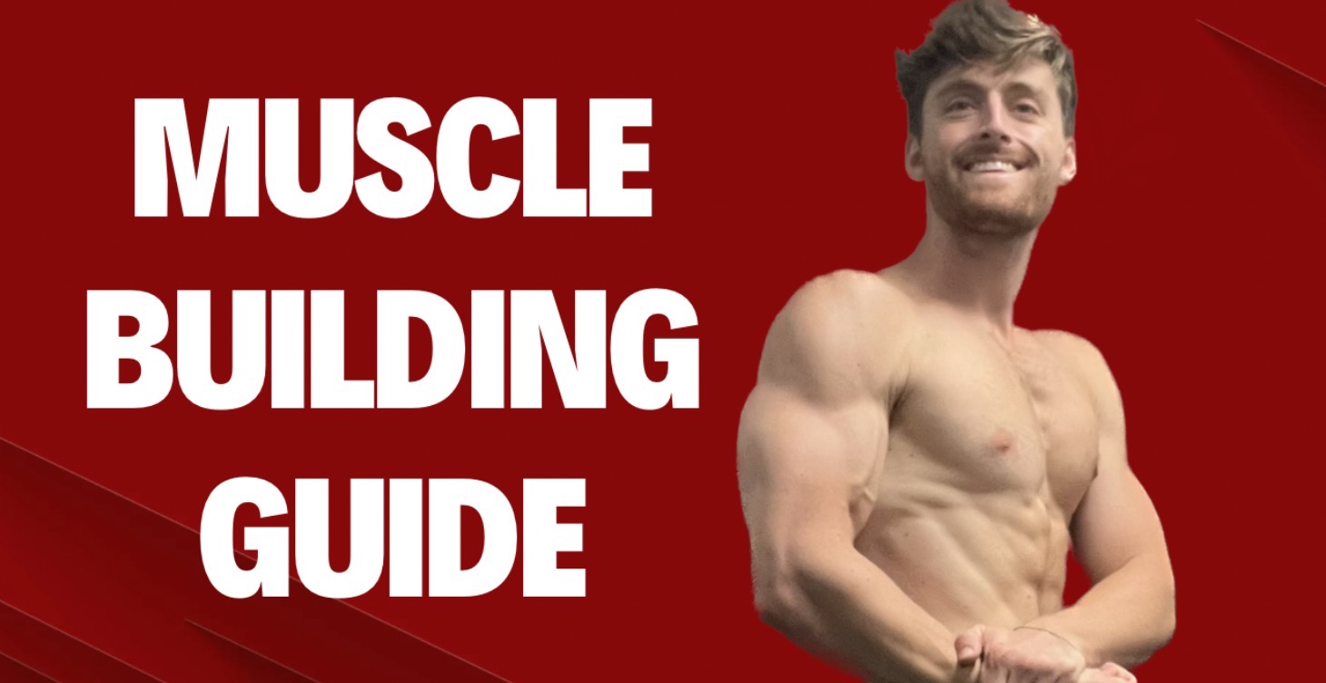 How to: Muscle Building