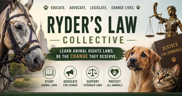 Ryder’s Law Collective