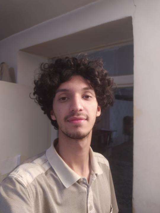 Mahdiar Alavi