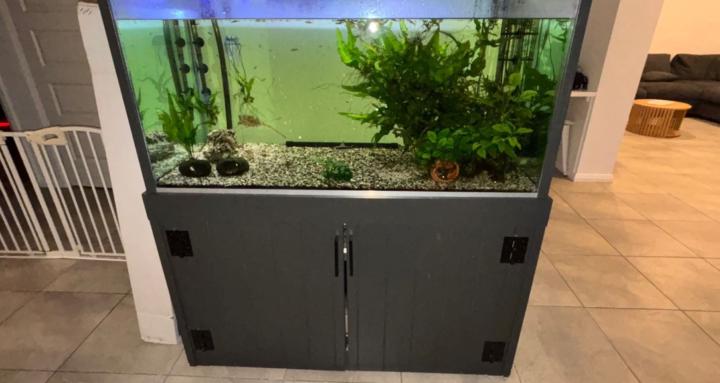 🐟 Something fishy 🐟