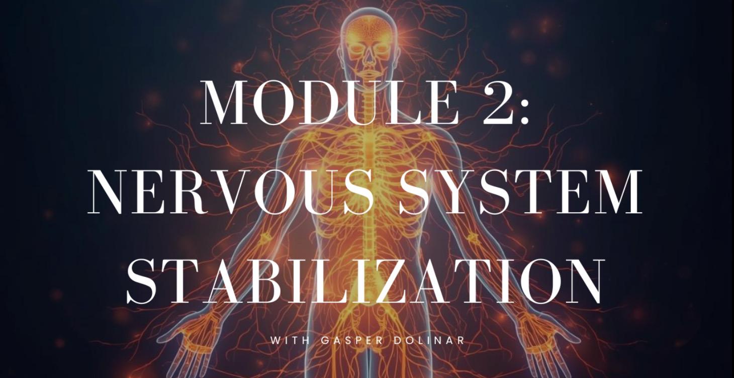 MODULE 2: NERVOUS SYSTEM STABILIZATION
