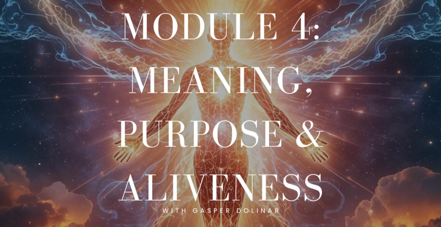 MODULE 4: MEANING, PURPOSE & ALIVENESS