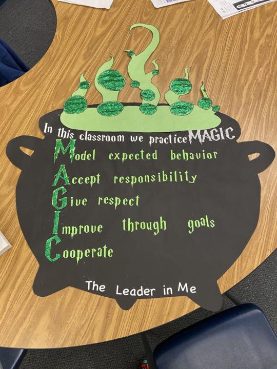 Magic in the Classroom