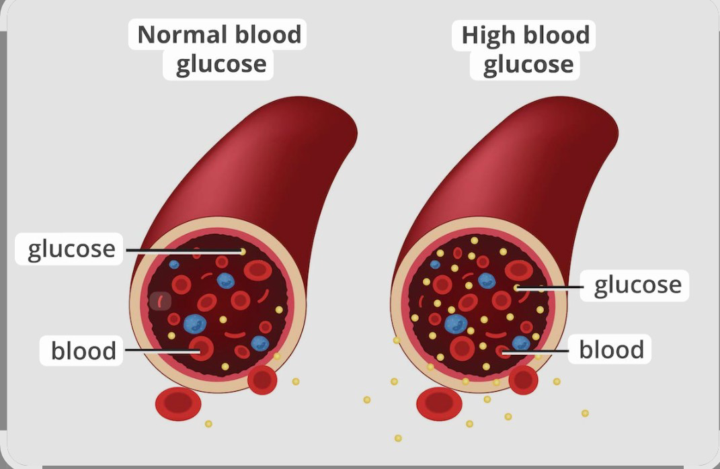 What does your blood look like?