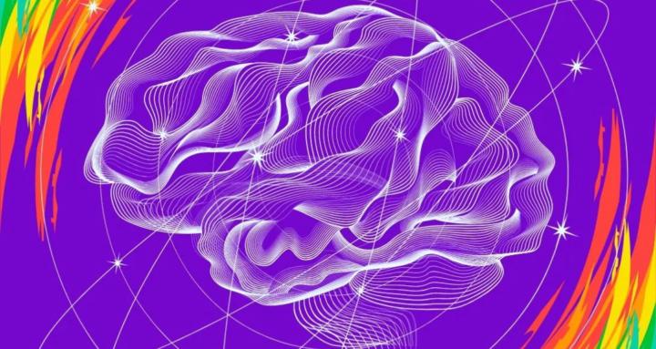 Brains, Behavior & Belonging