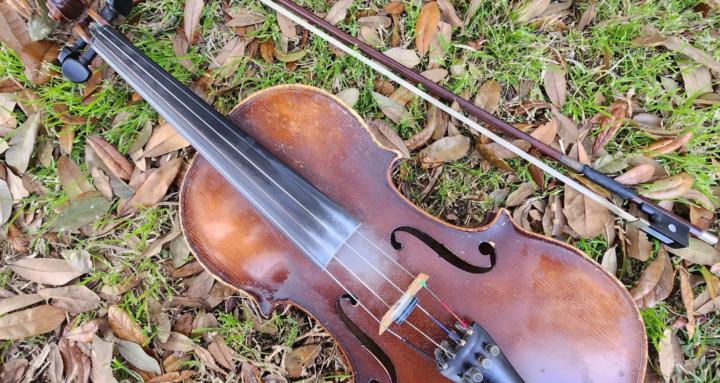 Adult Beginner Violin & Fiddle