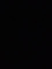 Moises Pedreño solano