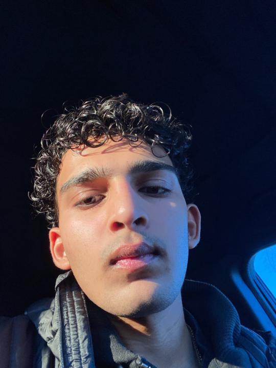 Arya Naik