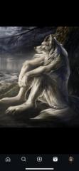 Gabriel Borges Desio