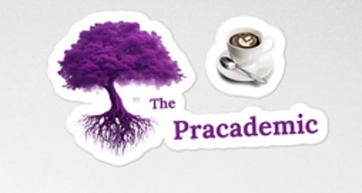 The Pracademic