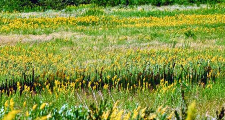 Daily Advice from Gen X