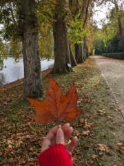 Tagmi Fatima ezzahra