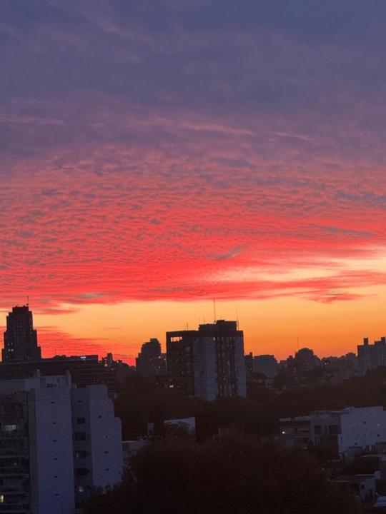 Natalia Cizza