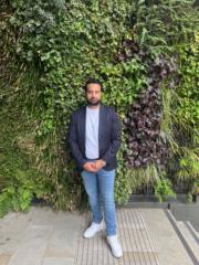 Hamed Ali