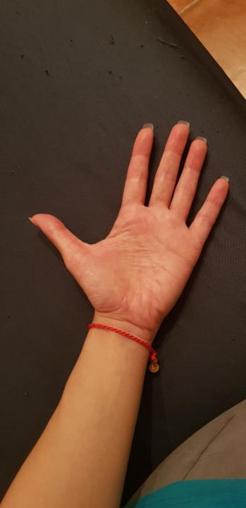 Berenice Chandía Toledo