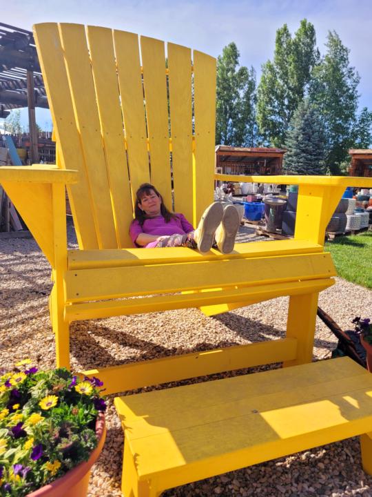 The Radical Campaigners Bio