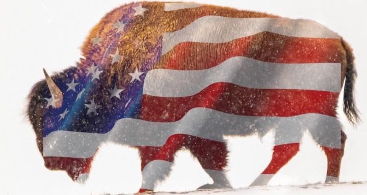 TRUST USA LEADERS AGAIN 🇺🇸