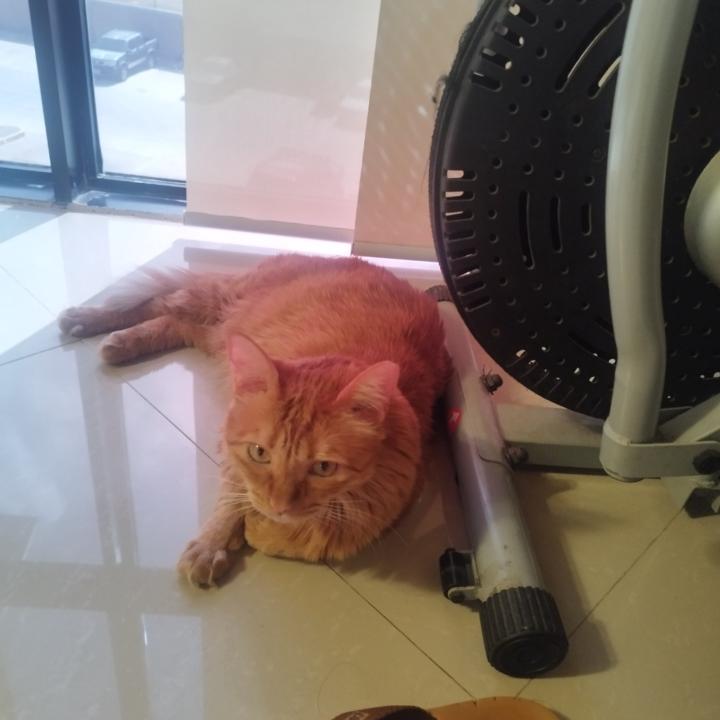 María Alejandra Blanco