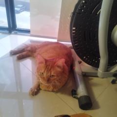 María Alejandra Blanco