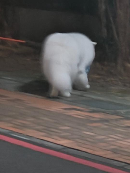 周 晴