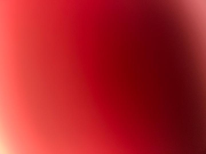 Charlene Goncalves Alves