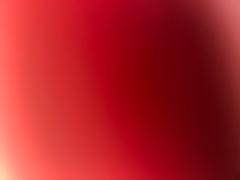 Charlene Goncalves Alves