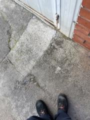 Alejandro Perez Requena