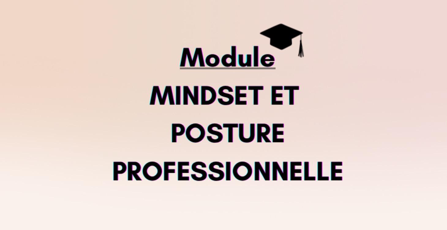 Mindset et posture professionnelle