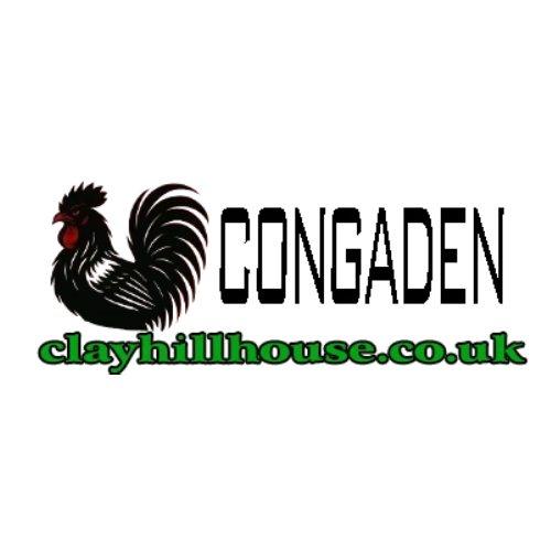 Congaden Clay