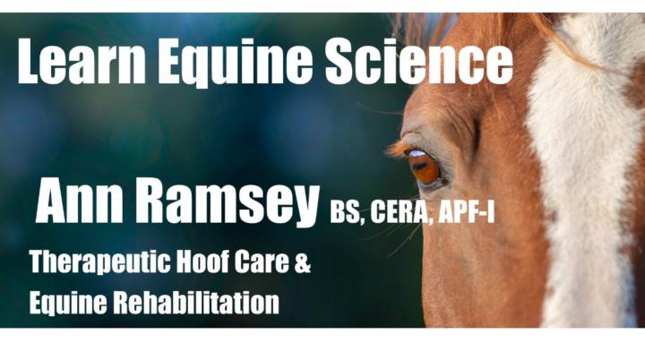 Ann Ramsey Equine Science