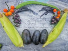 Laura Thompson