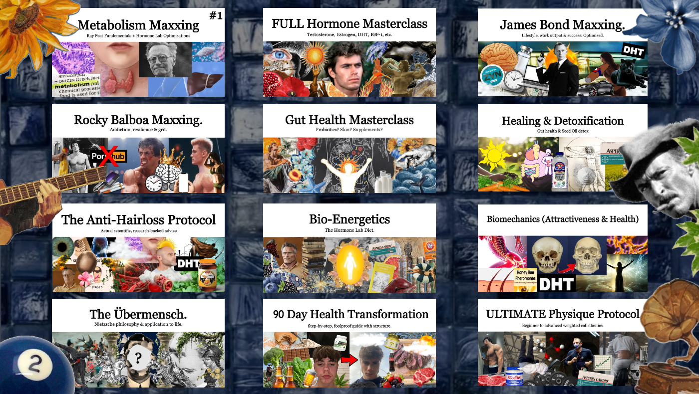 The Hormone Lab