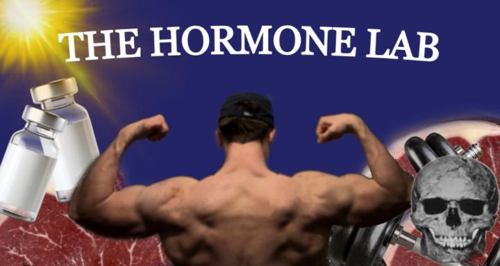 The Hormone Lab