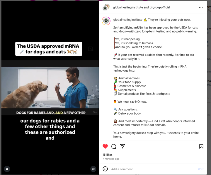 mRNA vaccine in pets 