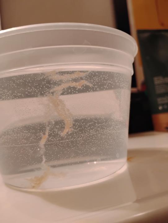 One of the craziest parasites so far.