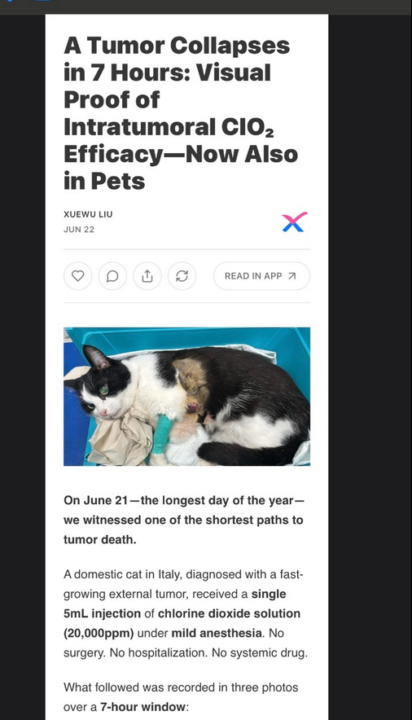 CDS injection to tumor 