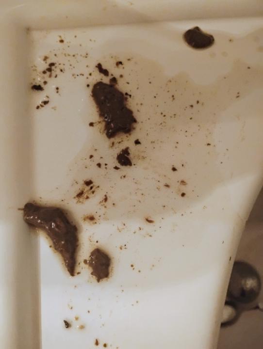 Happy Saint Patrick's Day🍀