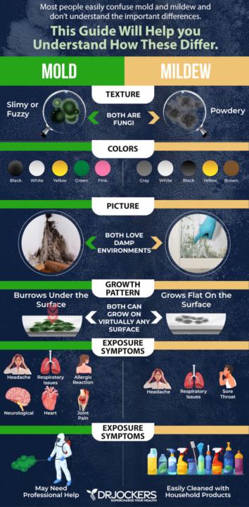 《》 MOLD & MILDEW Guide 《》