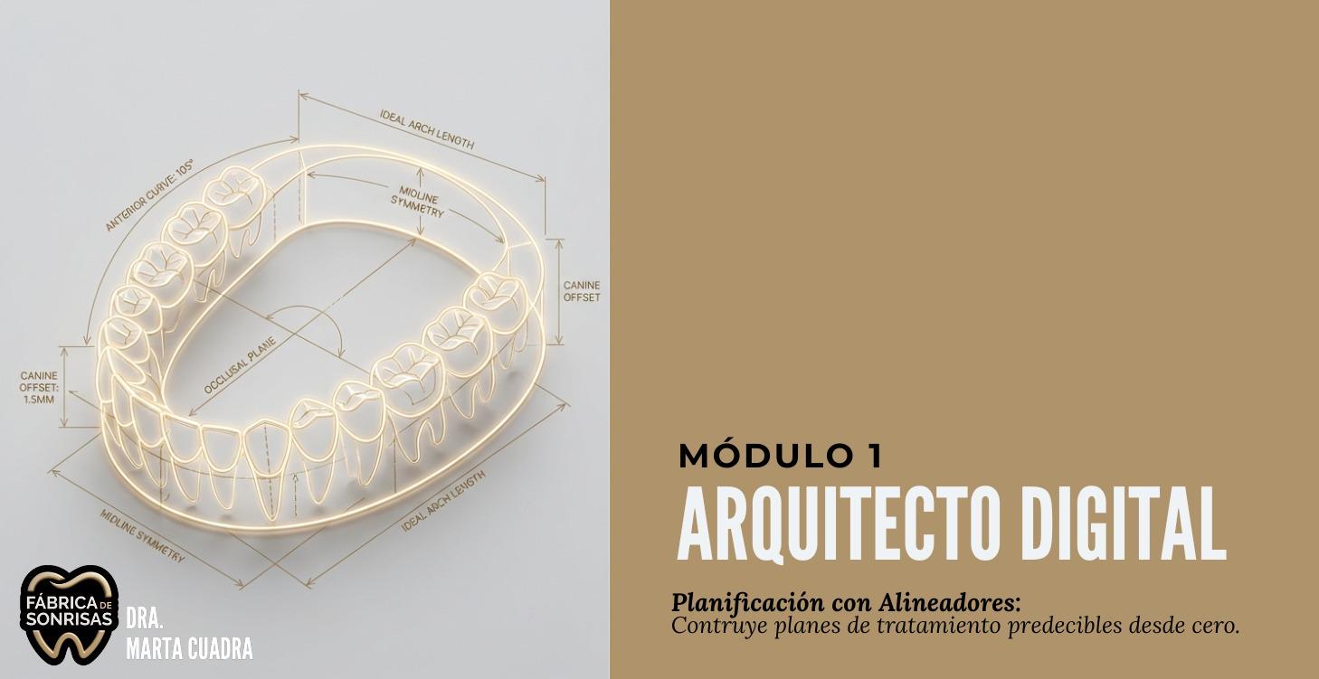 M1:Planificación con Alineadores