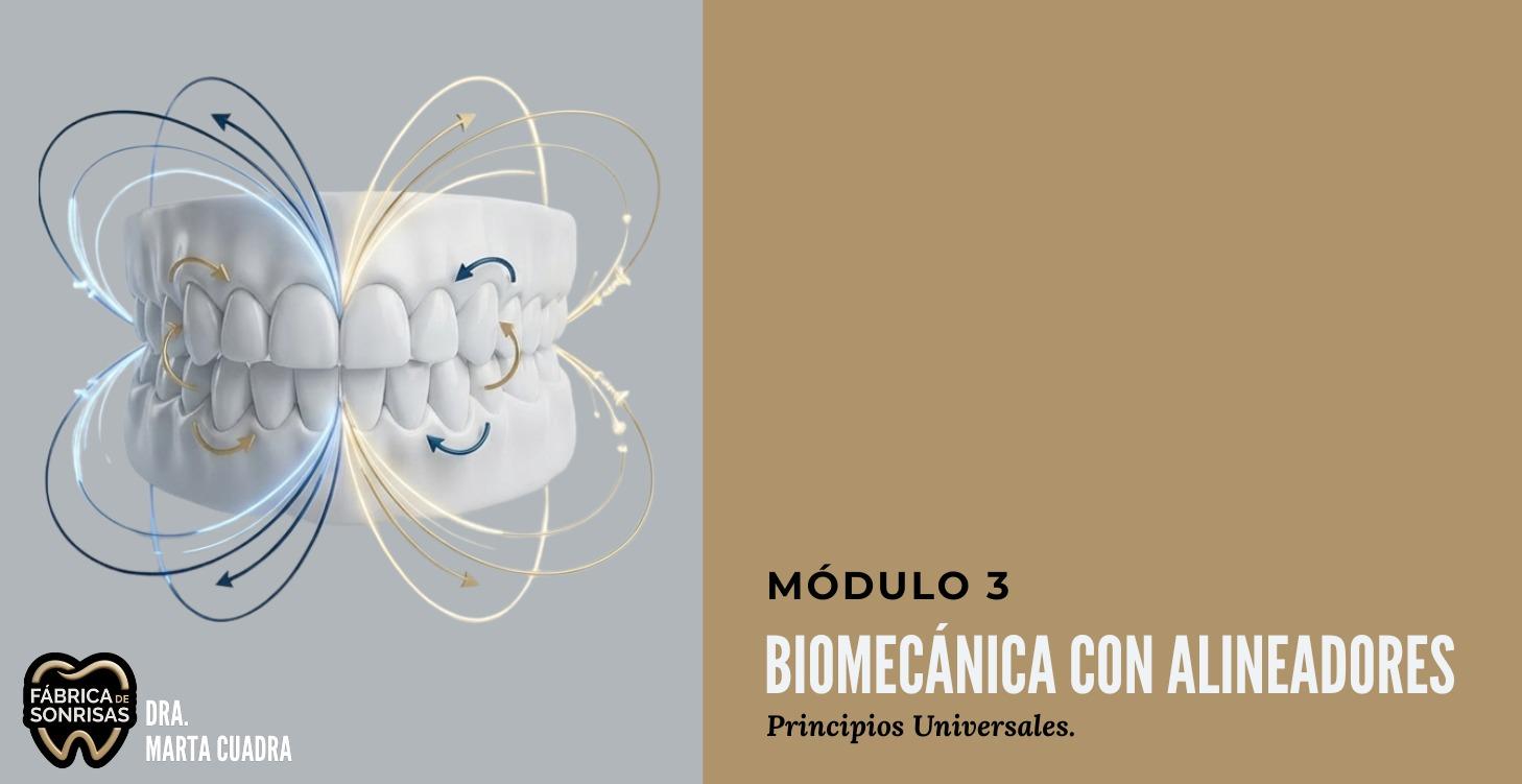 M3: Biomecánica con alineadores