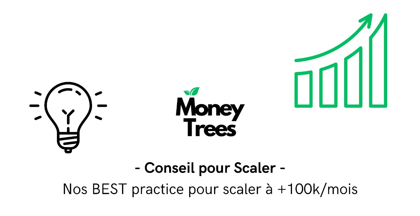 Nos meilleurs conseils