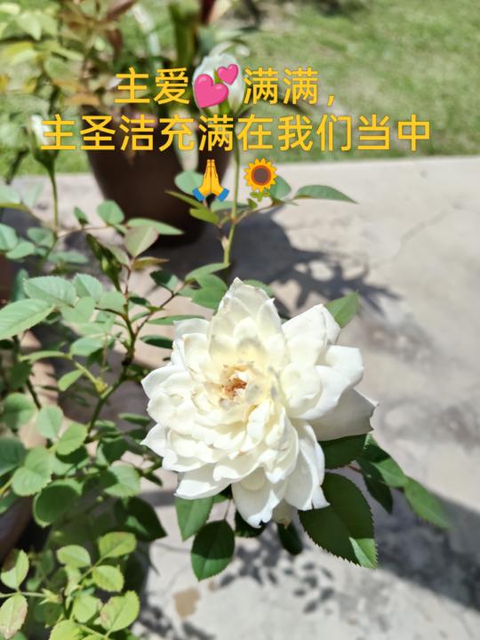 感恩