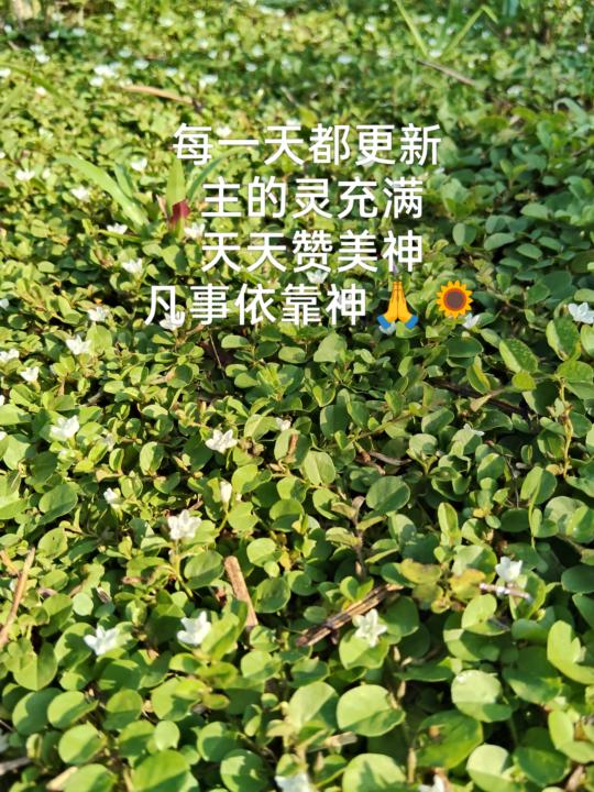 感恩